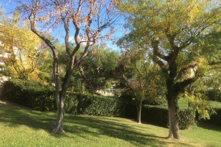 Cassis 4Pers Vue Mer Wifi Tennis Parking Piscine Екстериор снимка